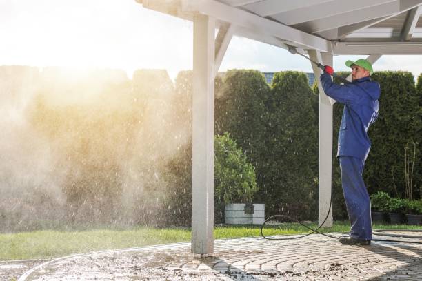 Best Roof Washing  in Worthgton, IN