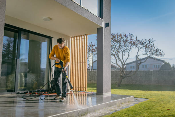 Best Boat and Dock Cleaning  in Worthgton, IN