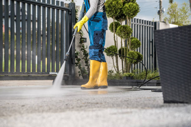 Best Driveway Pressure Washing  in Worthgton, IN